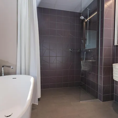 Wasa Hotel, & 4*