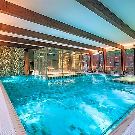 Wasa Hotel, & Hotel 4*