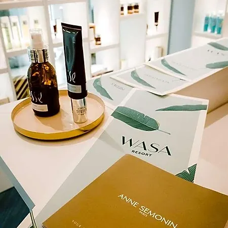 Wasa Hotel, & فندق 4*