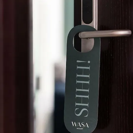 Отель Wasa Hotel, &