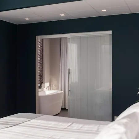 Otel Wasa Hotel, & 4*