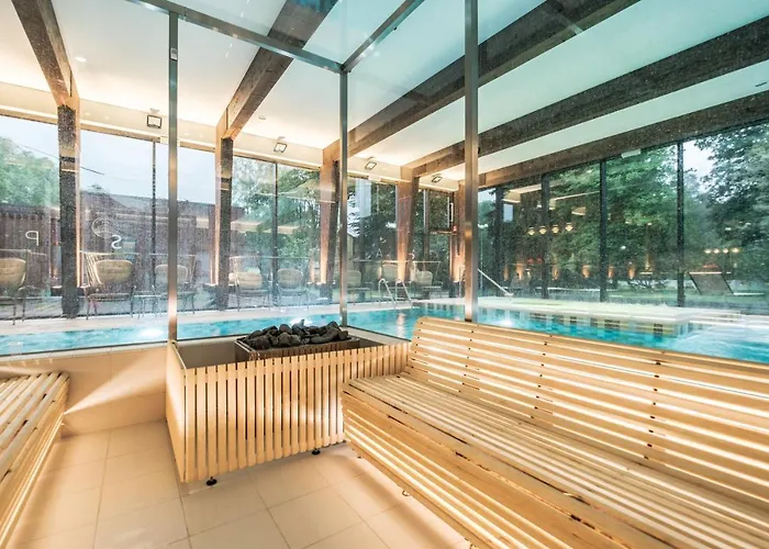 Hotel Wasa Hotel, & 4*