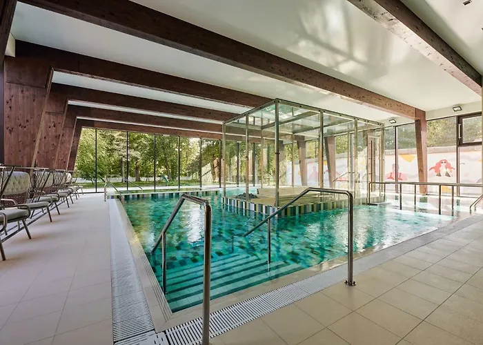 Wasa Hotel, & Hotel 4*