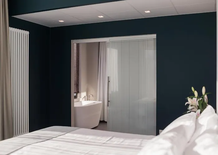 Hotel Wasa Hotel, & 4*