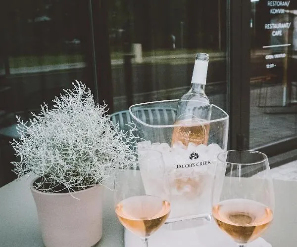 Wasa Hotel, & Hotel Pärnu